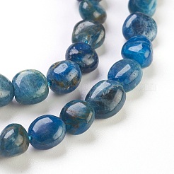 Natural Apatite Beads Strands&nbsp;G-F575-07