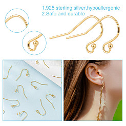 6Pairs 925 Sterling Silver Earring Hooks&nbsp;FIND-GO0002-72