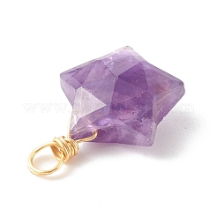 Natural Mixed Gemstone Charms&nbsp;PALLOY-JF00748