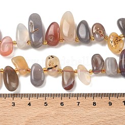 Natural Botswana Agate Beads Strands&nbsp;G-P604-A06-01