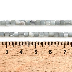 Natural Trochid Shell/Trochus Shell Bead Strands&nbsp;SSHEL-N034-77-C01