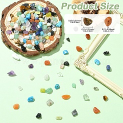 210g 14 Styles Natural Mixed Gemstone Chip Beads and 15g Opaque Glass Chip Beads Kits&nbsp;G-YW0002-37