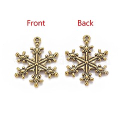 Zinc Tibetan Style Alloy Pendants&nbsp;X-TIBEP-12740-AG-LF