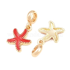 Alloy Enamel European Dangle Charms&nbsp;AL-CBAC2D3-02G-01