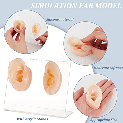 2Pcs 2 Styles Silicone Ear Flexible Model Body Part Displays&nbsp;ODIS-OC0001-67