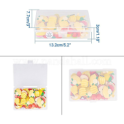 Plastic Bead Containers&nbsp;CON-BC0004-13