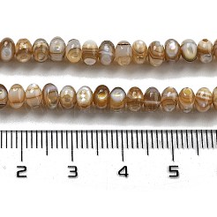 Natural Freshwater Shell Beads Strands&nbsp;X-BSHE-G038-05