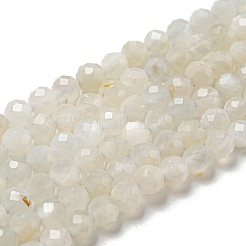 Natural Moonstone Beads Strands&nbsp;G-F736-01-AB