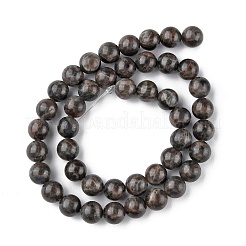 Natural Labradorite Beads Strands&nbsp;G-G0003-C03