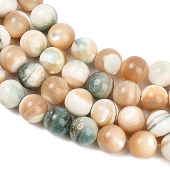 Natural Shell Beads Strands&nbsp;SH-CBA4F3D-01
