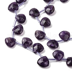 Natural Amethyst Beads Strands&nbsp;G-L654-L01-01