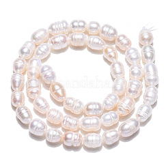 Natural Cultured Freshwater Pearl Beads Strands&nbsp;PEAR-N012-05J