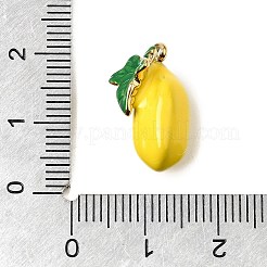 304 Stainless Steel Pendants&nbsp;STAS-C162-01D