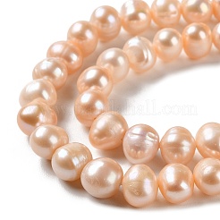 Natural Cultured Freshwater Pearl Beads Strands&nbsp;PEAR-E018-31