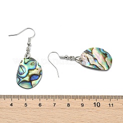 304 Stainless Steel Dangle Earrings&nbsp;EJEW-JE07163