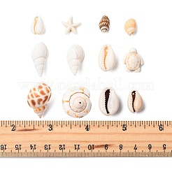 DIY Conch Shell Starfish Turtles Beads Findings Kits&nbsp;DIY-FS0010-25