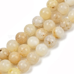 Natural Yellow Opal Beads Strands&nbsp;G-U026-A05-10mm