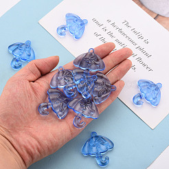 Transparent Acrylic Pendants&nbsp;TACR-T024-01B-940