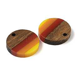 Pride Rainbow Theme Resin & Walnut Wood Pendants&nbsp;WOOD-K012-07A