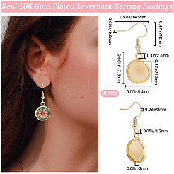 20 Pair 304 Stainless Steel Earrings Hooks&nbsp;EJEW-AB00014
