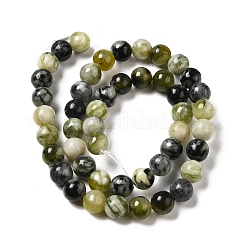Natural Xiuyu Jade Beads Strands&nbsp;G-H298-A08-03