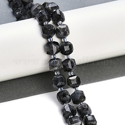 Natural Larvikite Beads Strands&nbsp;G-B125-O05-01