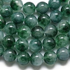 Natural Malaysia Jade Beads Strands&nbsp;G-L645-C01-10mm-03