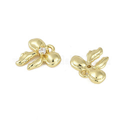 Rack Plating Brass Micro Pave Cubic Zirconia Charms&nbsp;KK-C082-04G