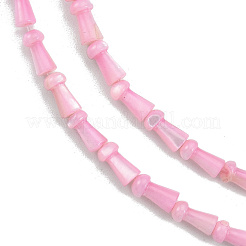 Natural Freshwater Shell Beads Strands&nbsp;SHEL-G013-02A