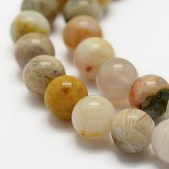 Natural Bamboo Leaf Agate Beads Strands&nbsp;G-K194-4mm-01