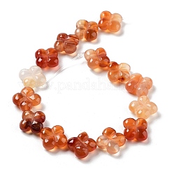 Natural Red Agate Beads Strands&nbsp;G-P520-A06-01