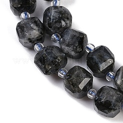 Natural Larvikite Beads Strands&nbsp;G-B125-O05-01
