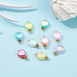 Eco-Friendly Transparent Acrylic Charms&nbsp;PALLOY-JF00749-02