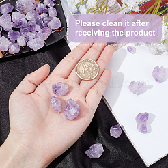 30Pcs Rough Raw Natural Amethyst Beads&nbsp;G-SC0001-66
