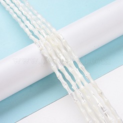Natural Trochus Shell Beads Strands&nbsp;SSHEL-H070-04