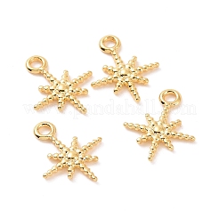 Ion Plating(IP) 304 Stainless Steel Charms&nbsp;STAS-F293-42G
