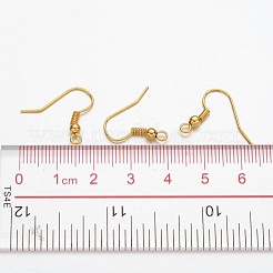 Iron Earring Hooks&nbsp;E135-NFG