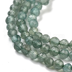 Natural Green Apatite Beads Strands&nbsp;G-G105-A01-02
