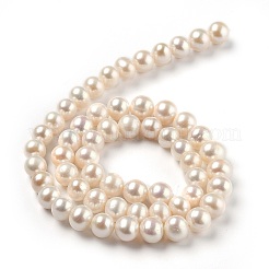 Natural Cultured Freshwater Pearl Beads Strands&nbsp;PEAR-L033-16-02