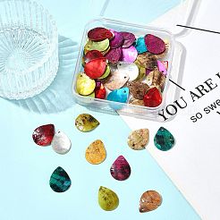 56Pcs 7 Colors Spray Painted Natural Akoya Shell Pendants&nbsp;BSHE-FS0001-09