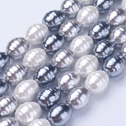 Shell Pearl Beads Strands&nbsp;BSHE-P030-03C