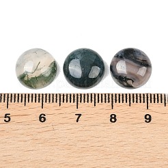 Natural Moss Agate Cabochons&nbsp;G-D367-01A-02