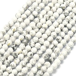 Natural Howlite Beads Strands&nbsp;G-A260-A25-01