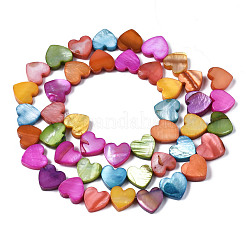 Natural Freshwater Shell Beads Strands&nbsp;SHEL-S278-03A-01