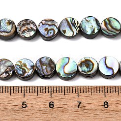 Natural Paua Shell Beads Strands&nbsp;BSHE-ZX006-09C
