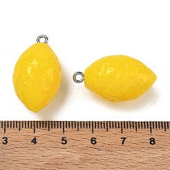 Opaque Resin Imitation Fruit Pendants&nbsp;RE-CBA9CFC-02A