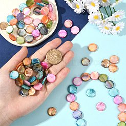 4 Strands Natural Freshwater Shell Beads Strands&nbsp;SHEL-SC0001-81