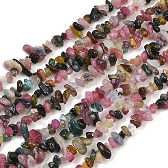 Natural Multicolor Tourmaline Beads Strands&nbsp;G-T148-01