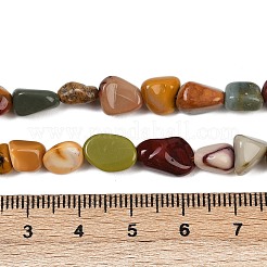 Natural Alashan Agate Beads Strands&nbsp;G-Q060-D19-02