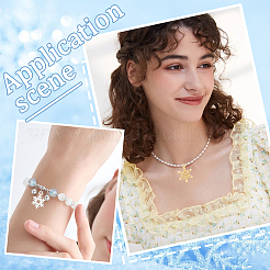 120Pcs 12 Styles Alloy Pendants&nbsp;FIND-SC0011-98